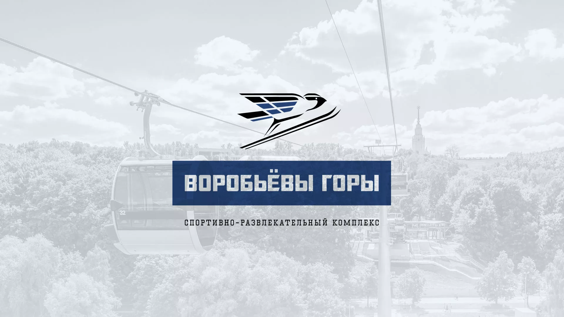 Разработка сайта в Новосокольниках для спортивно-развлекательного комплекса «Воробьёвы горы»